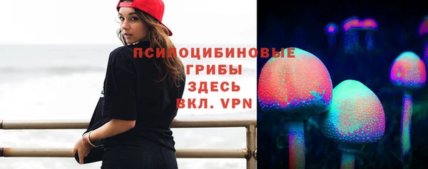 таблы Богданович
