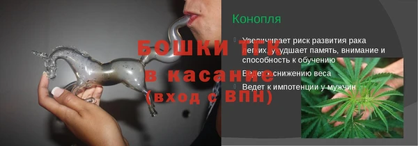 амф Богородицк